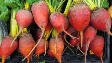 beets-944596_960_720